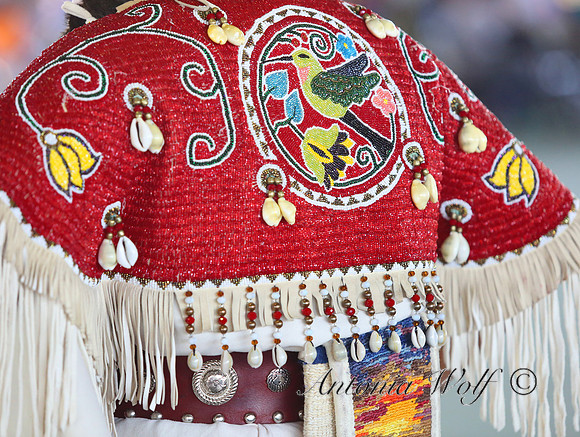 Native American Indian Beadwork 2