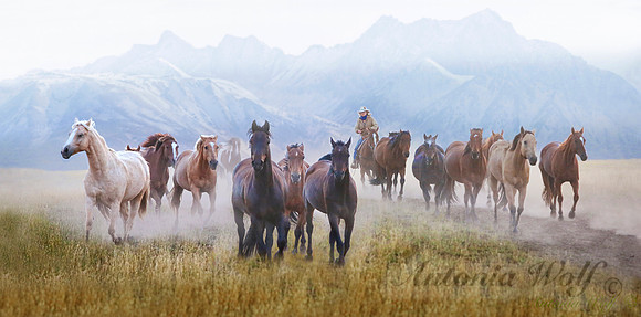 Montana Wrangler