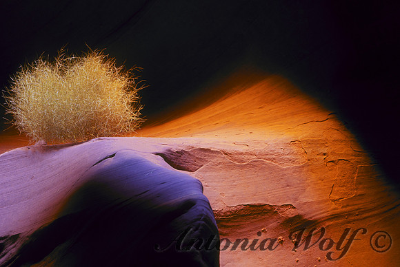 Antelope Canyon 6