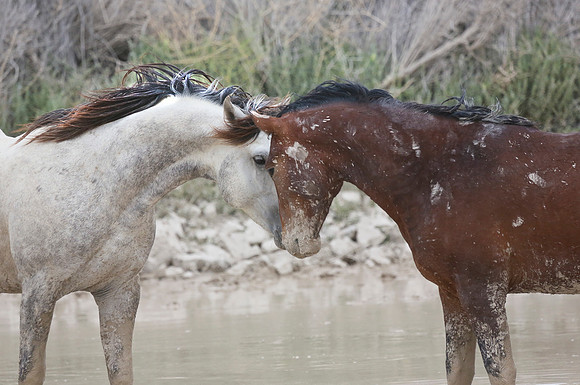 Affectionate Hello