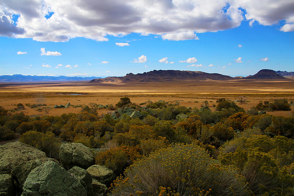 Light and Shadows:In Search for the Wild Mustangs