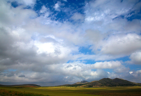 Mustangs Roaming Place in Utah