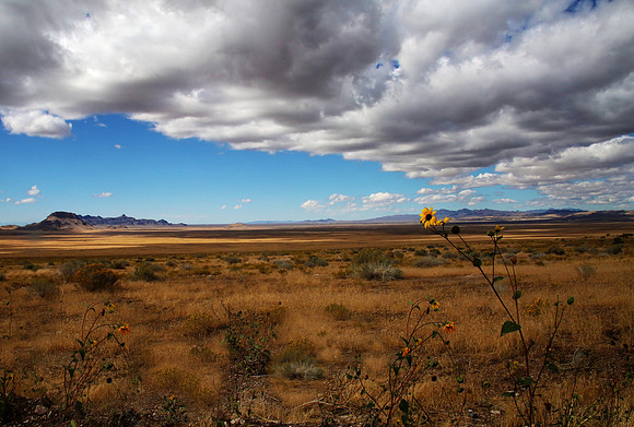 Wild horse Reserve Utah