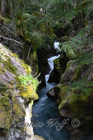 Avelanche Falls Glacier