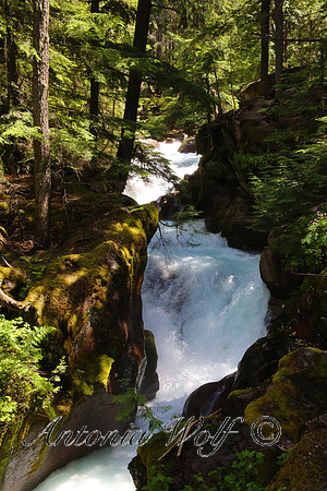 Avalanche Cedar Grove Glacier