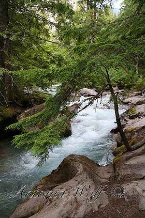Avalanche Creek