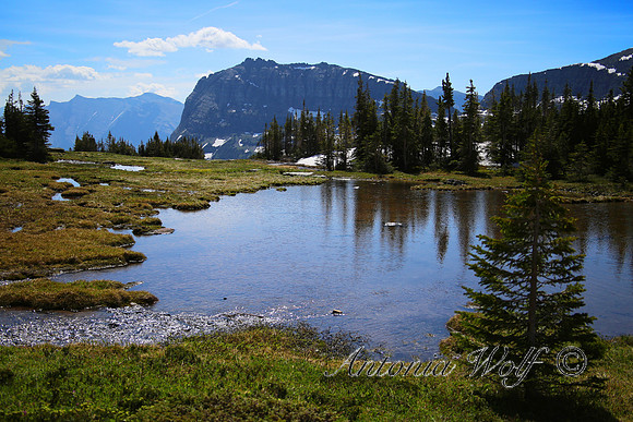 Hidden Lake Pond Glacier