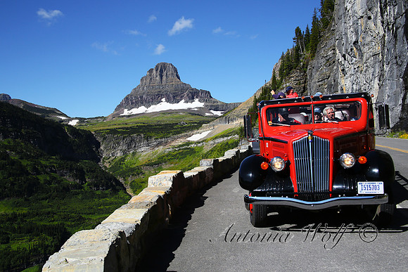 Logan's Pass with the Famous Red Buses