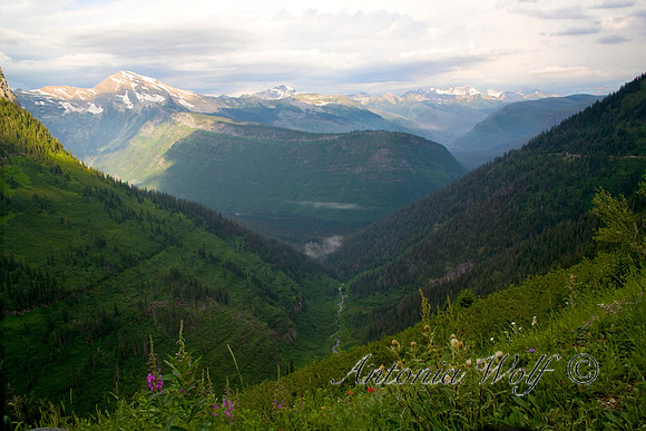 View from Going Into the Sun