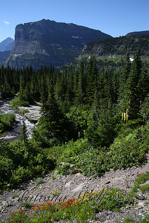View from Logan's Pass Glacier