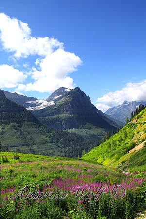 View from the Going to the Sun Road