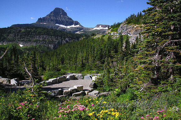 Road to Logan Pass