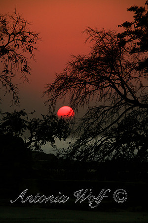 A Mystical Indian Sunset