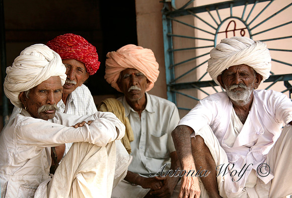 Friends at the Market