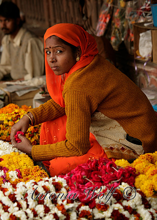 Marigold Lady at the Market