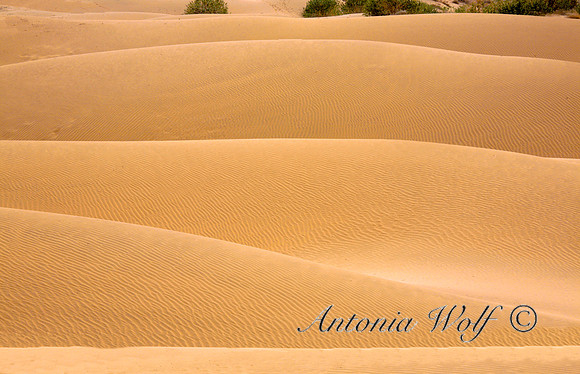 Moonscape-Desert of Sam
