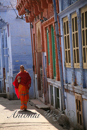 Morning Stroll in the Blue City India