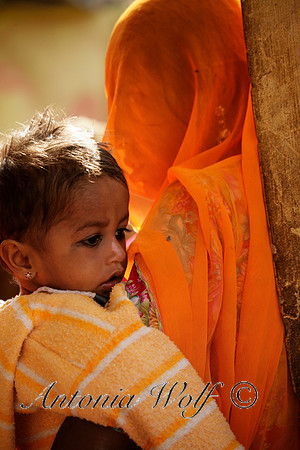 Orange Veil Jaisalmer