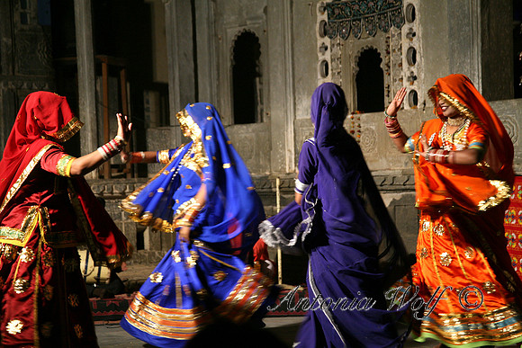 Saris in Motion