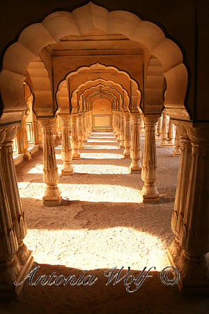 Splendid Arches