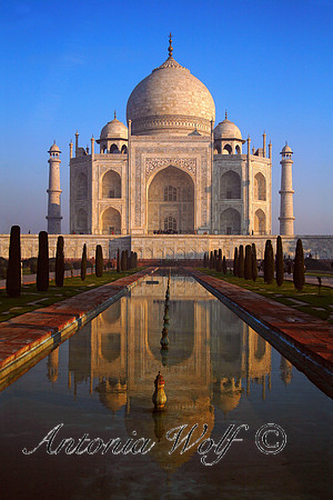 Splendor of Taj Mahal