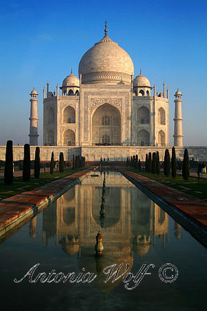 Taj Ma Hal Early Morning