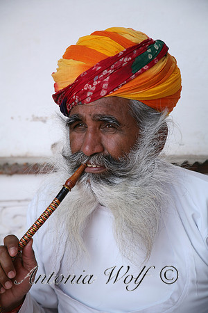 There is Wisdom in His Eyes