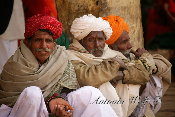 Three Friends at the Market in Jaisalmer