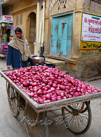 Wagon filled with Onions for the Market