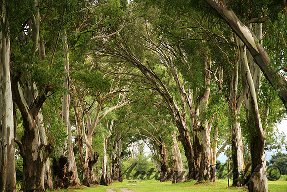 A Place of Quietude Argentina