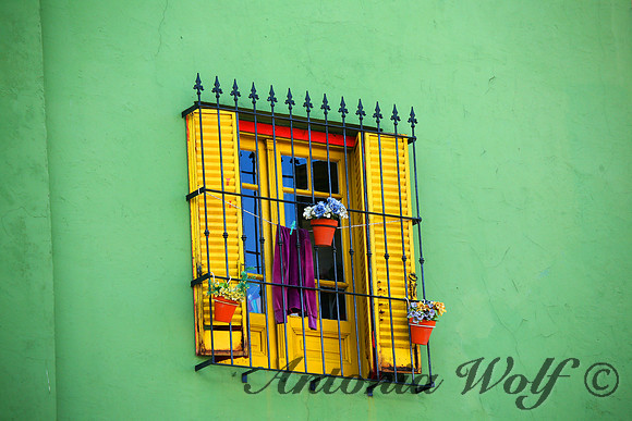 Window in De La Boca  Buenas Aries