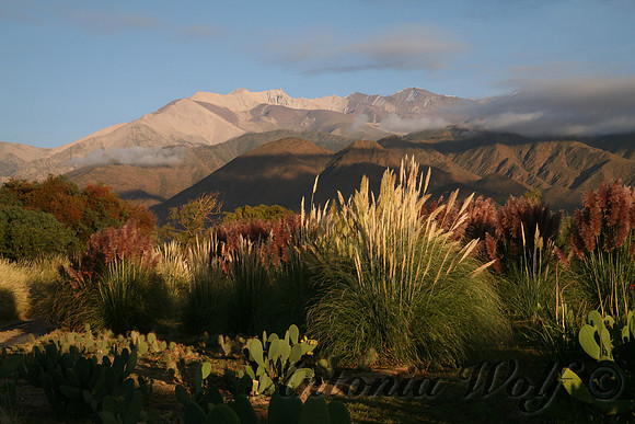 Early Morning in the Andes