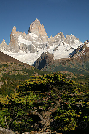 Fitz Roy in a Splendid Mood