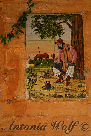 Hand Painted Tile on Terracotta Wall Cina Argentina