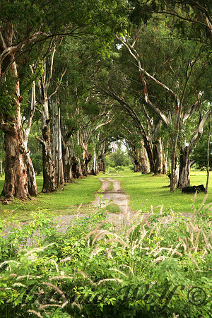 Magical Path Argentina