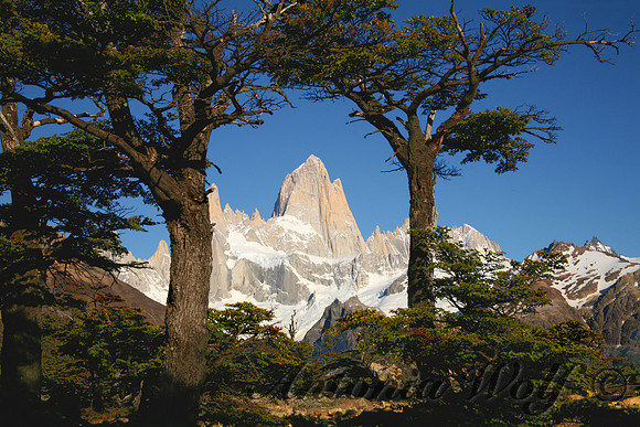 Majestic Fitz Roy