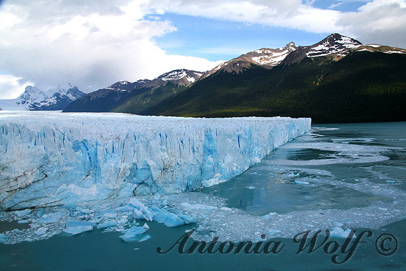 Moreno Glacier Early in the Morning