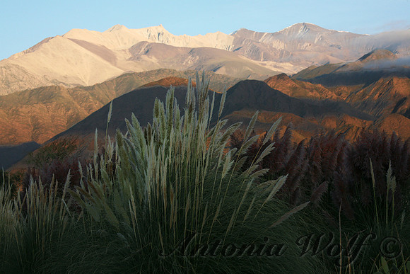 Mountains of Argentinia