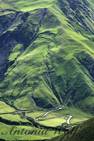 Mystical Bishop Valley