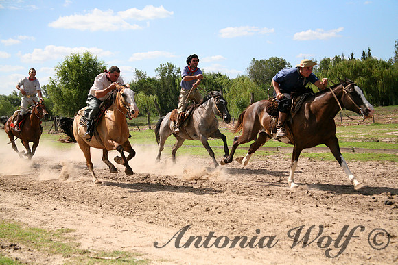 Racing to Winn Her Love Cina Argentina
