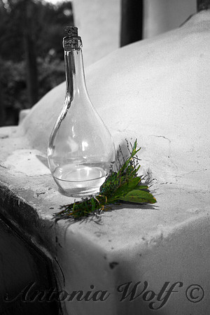 Sage and Thyme Argentina