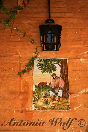 Terracotta with Hand Painted Tile Cina Argentina