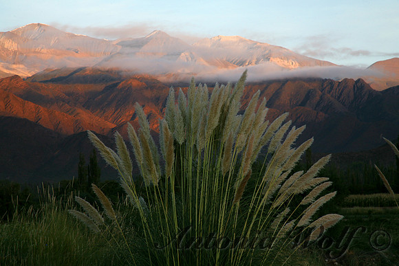 The Andes Cachi Argentina