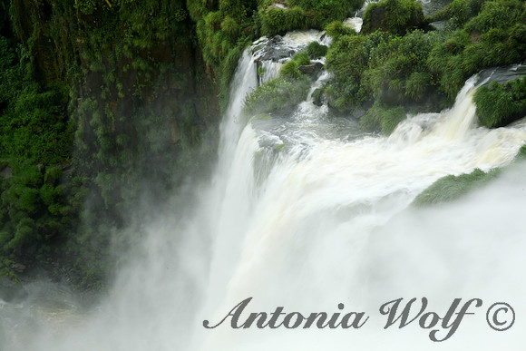 Iguazu Falls Argentina