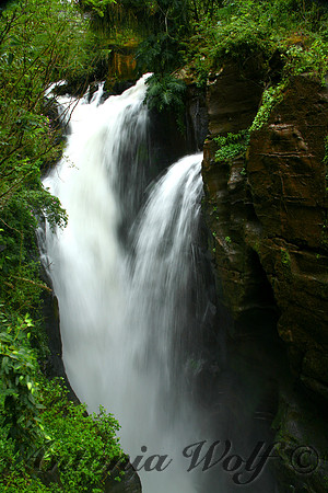 Iguazu Fakes Argentina