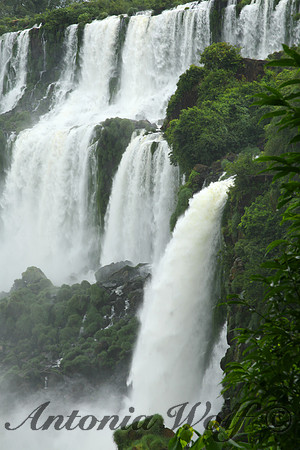 Iguazu Falls Argentina