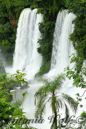 Iguazu Falls
