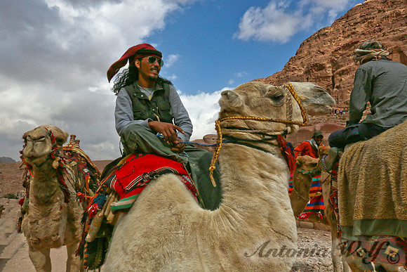 Bedouin Antonio With Daisy the Camel City of Petra Jordan