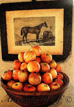 Bowel of Apples
