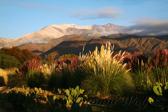 Colors of the Morning Catchi Argentina